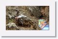 7a San Cristobal Punta Pitt * (67 Slides)